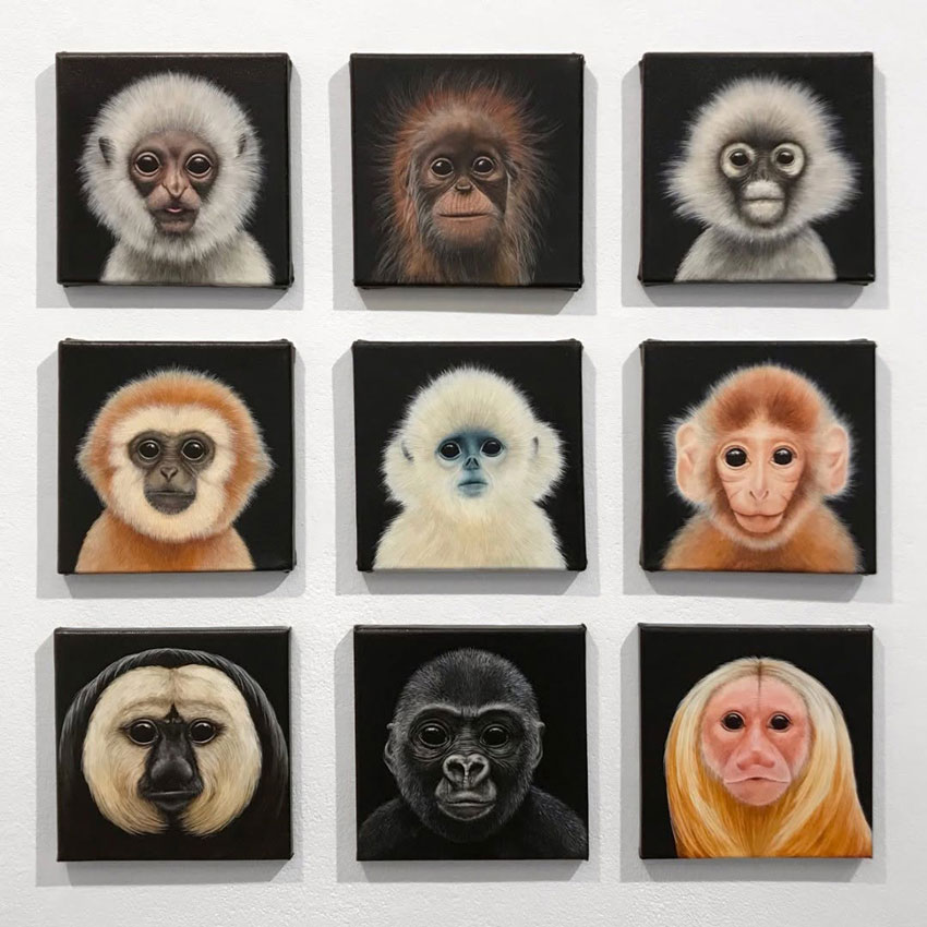 Weitere Ausstellungsansicht mit Arbeiten von Moki (Foto: Moki)